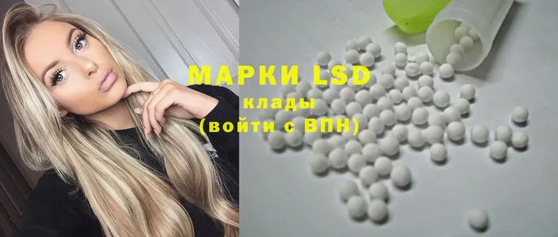 купить наркотик  Новотроицк  Лсд 25 экстази ecstasy 